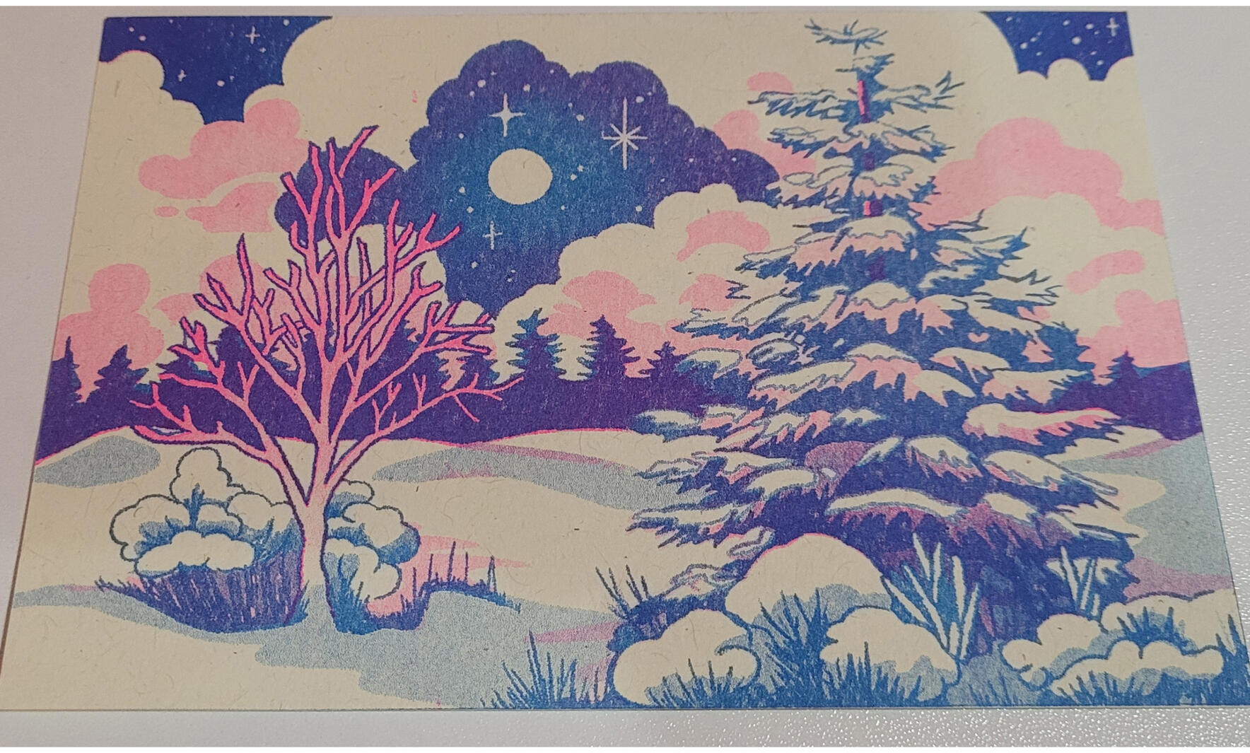 2024 Winter Postcard